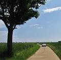 4de Pinksteroldtimerrit (149)